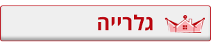 גלרייה